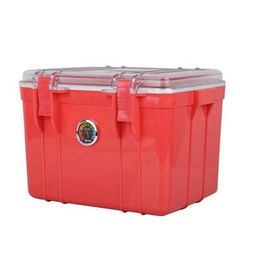 銳瑪R22高端防潮箱 守護(hù)工業(yè)設(shè)備的專業(yè)勞防利器